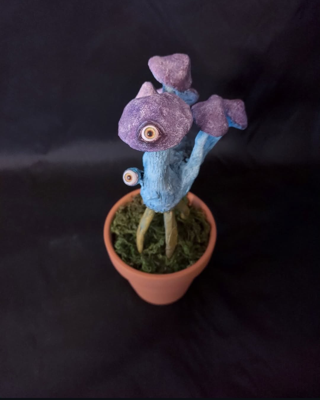 Blue Body Plantee　ブルーボディプランティー